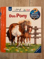 Wieso Warum Weshalb das Pony Hamburg - Bergedorf Vorschau