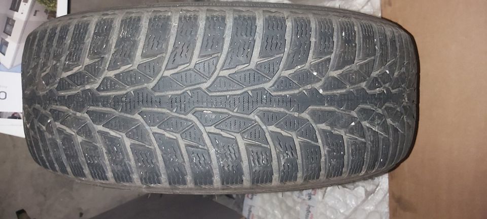 Winterreifen Nokian WR D4 M+S 205/60 R16 96H XL Extra Load in Möckmühl