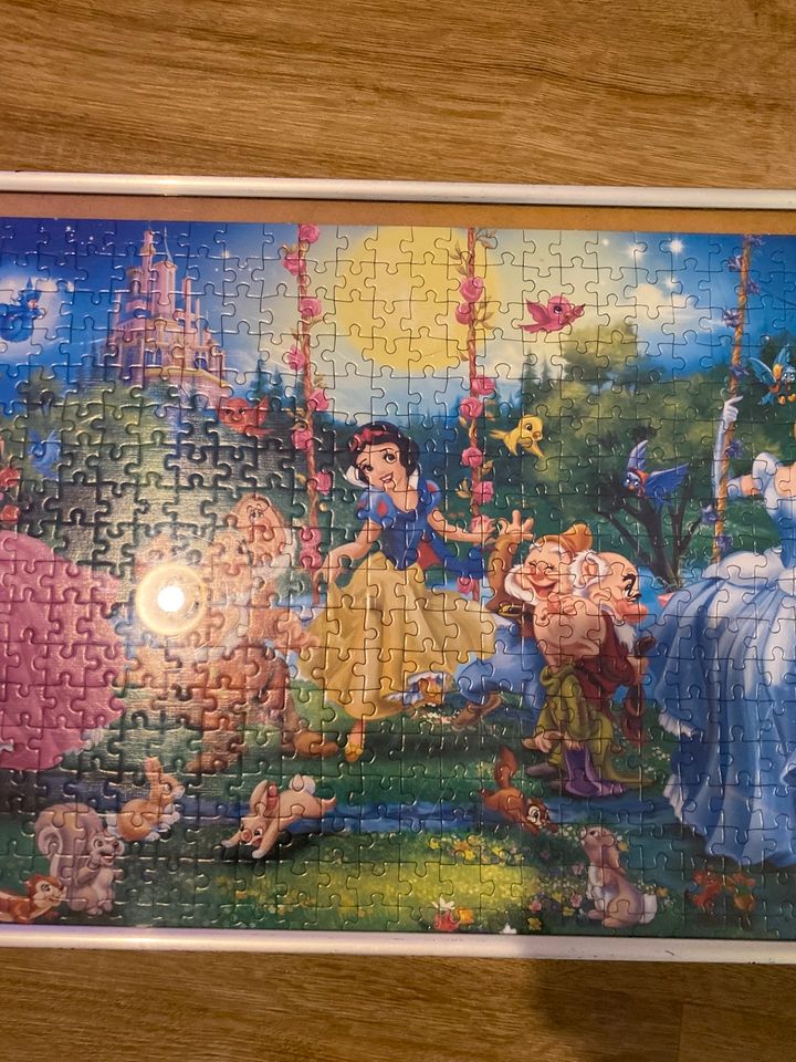 Disney Prinzessinnen Puzzle in Lenzkirch