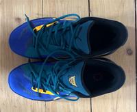 Basketballschuhe ALL-PRO NITRO CROWD CRAZE Pankow - Prenzlauer Berg Vorschau