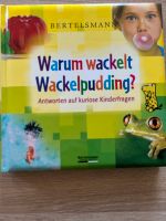 Buch Kinderwissen-kuriose Kinderfragen Sachsen-Anhalt - Niedere Börde Vorschau