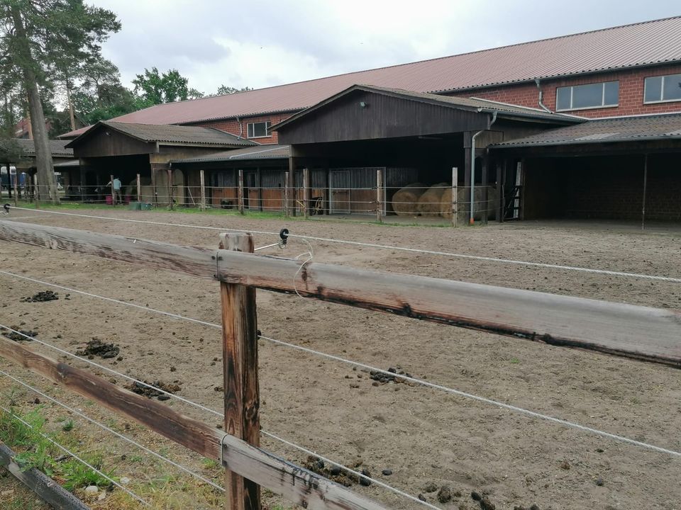 Ferienhaus / Mobile Home- Urlaub am See in der Lüneburger Heide in Sassenburg