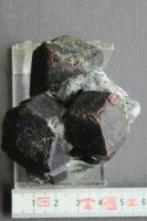 Mineraliensammlung: Almandin Granat Zillertal Tirol Österreich Nürnberg (Mittelfr) - Nordstadt Vorschau