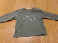 Pullover/Longsleeve von Esprit in 62 Bayern - Burgheim Vorschau