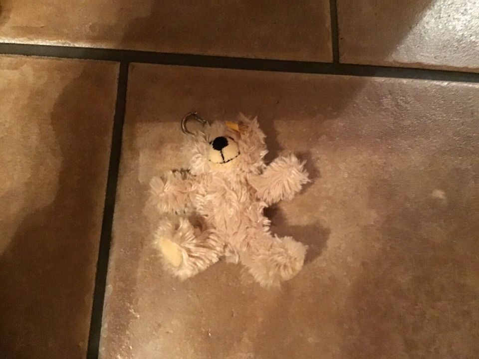 Steiff Teddybären  ab 5 Euro in Reppenstedt