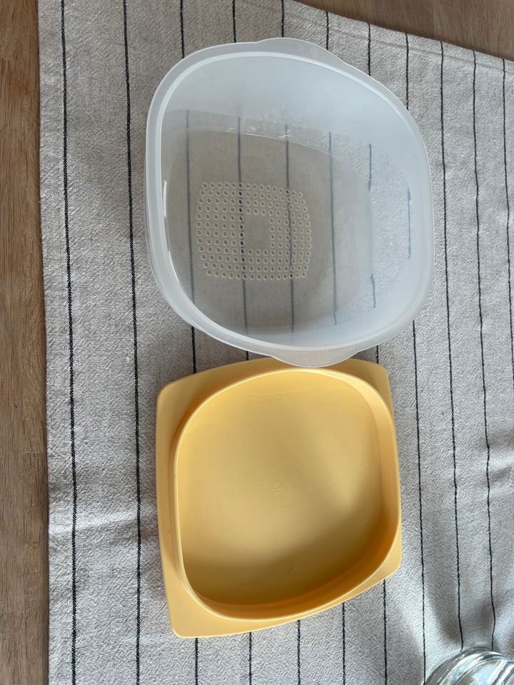 Tupperware käsedose Käsemax in Ennepetal