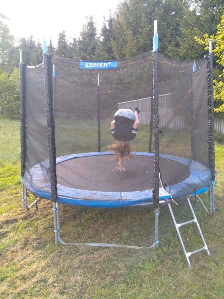 Trampolin Gartentrampolin Kindertrampolin Sprungtrampolin in Waldheim