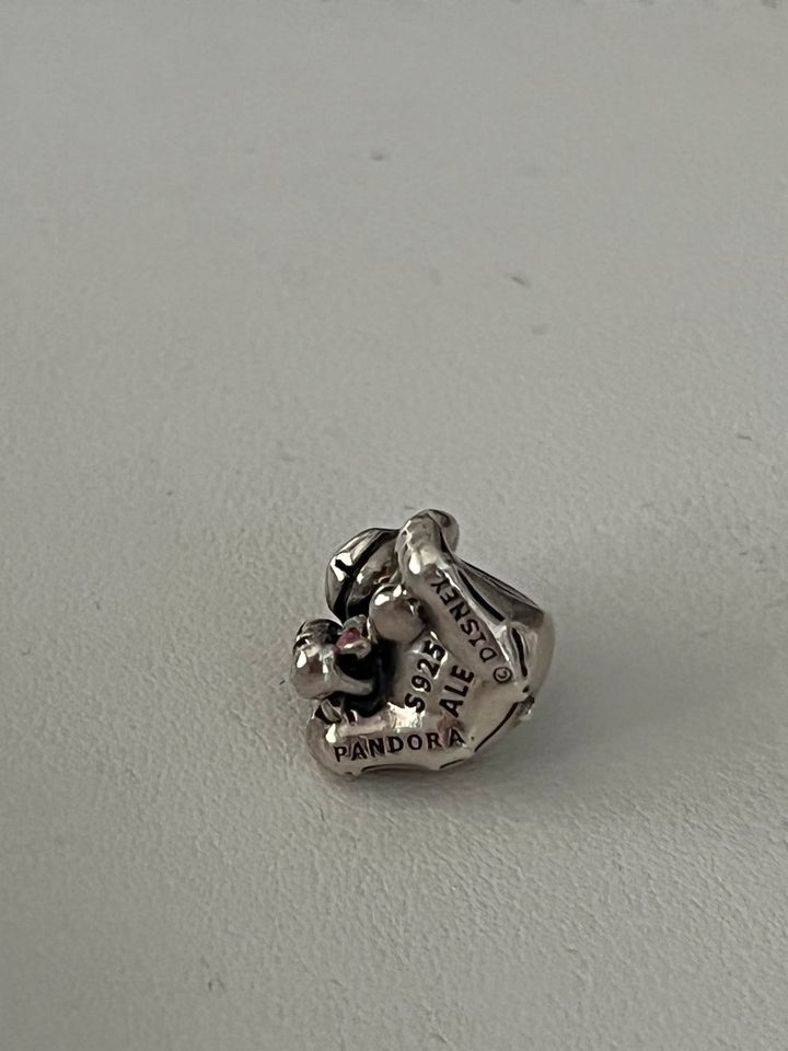 Pandora Charms Clip Disney ❤️ Minnie Iah Esel Winnie Puuh Pottine in Saarbrücken