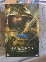 Hot toys Hawkeyes Deluxe Ronin MMS532 Bayern - Regensburg Vorschau