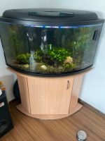 240l Juwel Aquarium mit Zubehör Nordrhein-Westfalen - Emsdetten Vorschau