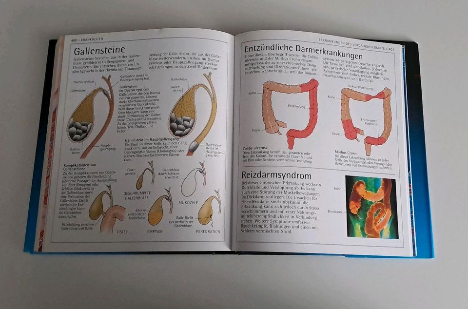 Anatomie Atlas Dorling Kindersley in St Gangloff