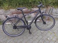 RALEIGH Devon 28" Citybike Herrenrad RH 50cm Nabenschaltung !NEU! Mecklenburg-Vorpommern - Ueckermuende Vorschau