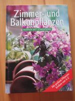 Zimmer- und Balkonpflanzen Wohnen mit Atmosphäre Rheinland-Pfalz - Bad Hönningen Vorschau