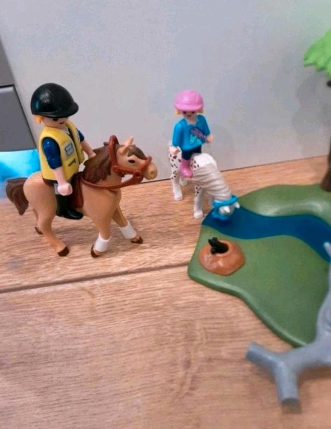 Playmobil 6947 Pferde Ausritt mit und viel Zubehör neuwertig in Walldürn