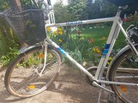 Herrenfahrrad retro von Herkules Baden-Württemberg - Obrigheim Vorschau