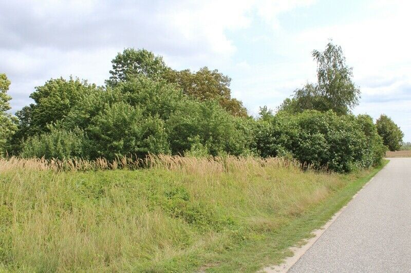 Baugrundstück zwischen Anklam und Stettiner Haff in Schwerinsburg