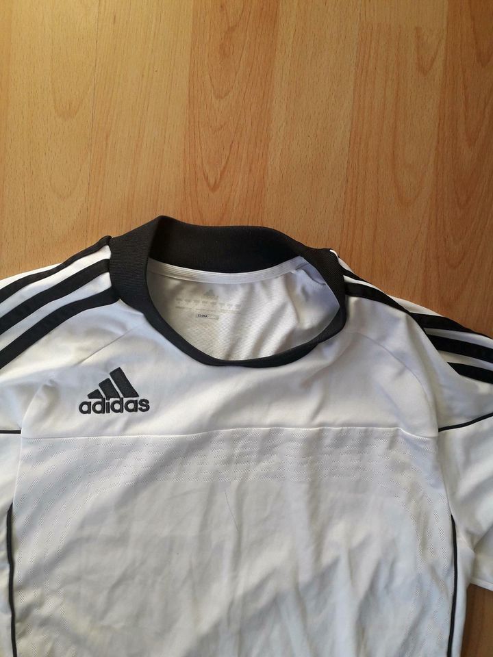 Adidas Shirt clima cool in Herne