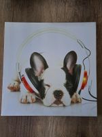 Süße Bulldogge mit Kopfhörer Leinwand gedruckt Nordrhein-Westfalen - Marl Vorschau
