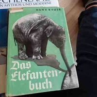 15 ältere Bücher Niedersachsen - Göttingen Vorschau