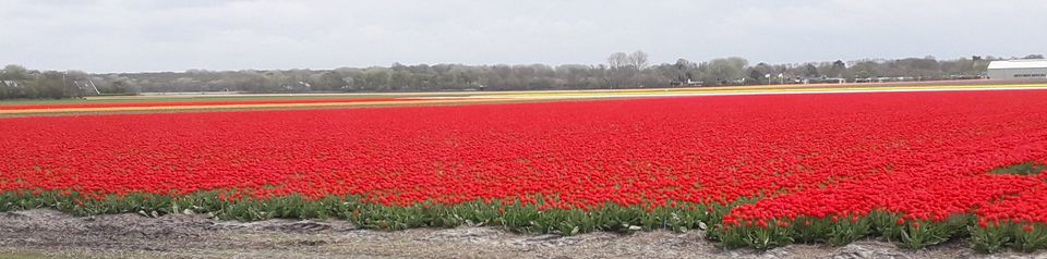 FH Nord-Holland Nordsee strandnah in Holzwickede