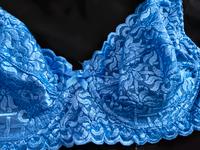 Bügel bh aus spitze 85B blau c&a neu Hessen - Rüsselsheim Vorschau