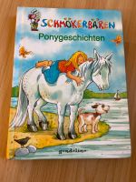Ponygeschichten Hessen - Hessisch Lichtenau Vorschau