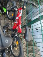 Fahrrad für Kinder zu verkaufen Saarland - Neunkirchen Vorschau