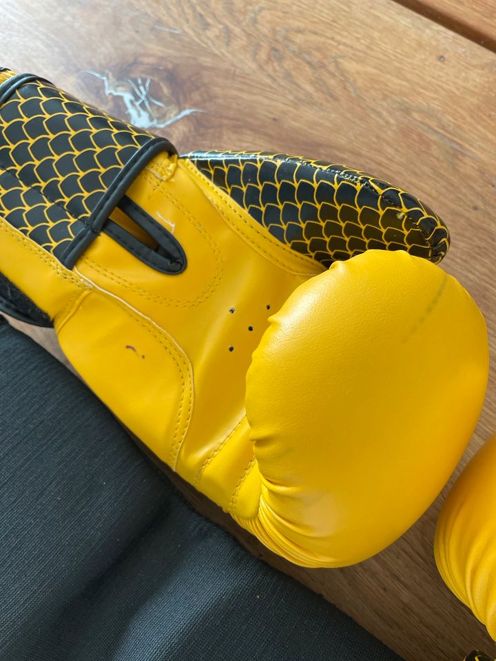 Boxhandschuhe Box Handschuhe Muay Thai MMA in Spardorf