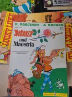 Asterix und Maestria Nordrhein-Westfalen - Willich Vorschau