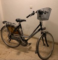 Citybike Gazelle Damen Nordrhein-Westfalen - Meerbusch Vorschau