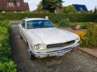 Ford Mustang 1965 289 Cu 4,7 Liter V8 Herzogtum Lauenburg - Geesthacht Vorschau