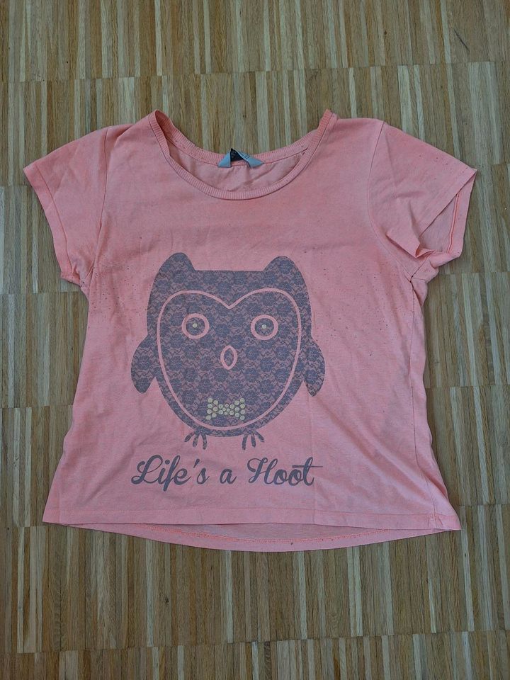 Orangefarbenes T-Shirt mit Eule "Life's a hoot", Gr. 40/42 in Berlin