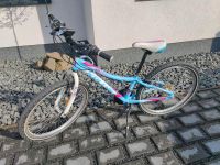 Kellys Kiter 30 Hardtrail Mountainbike Kinderfahrrad 24zoll Sachsen - Grimma Vorschau