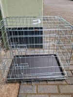 Hunde - Katzenbox Nordrhein-Westfalen - Herten Vorschau