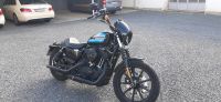 Harley Davidson Sportster 1200 Iron Brandenburg - Pritzwalk Vorschau