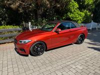 BMW 230i Steptronic Cabrio M Sport + Winterreifen Hessen - Langen (Hessen) Vorschau