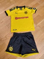 BVB Dortmund Trikot Hose Nordrhein-Westfalen - Horstmar Vorschau