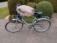 Fahrrad Bike Zweirad Rad NSU Comfort Niedersachsen - Apensen Vorschau
