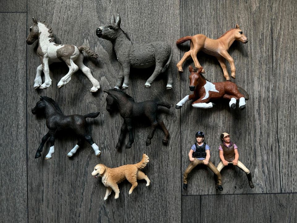 Schleich Pferdestall mit Pferden inkl. Zubehör in Leipzig