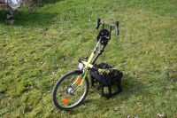 Handbike Rollstuhlzuggerät Bergedorf - Kirchwerder Vorschau