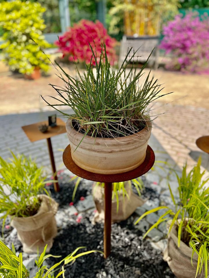 Bonsaiständer Metall Bonsai Ständer Pflanzenständer drehbar in Osterholz-Scharmbeck