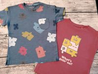 T-Shirts Gr 110 *2 verschiedene* Nordrhein-Westfalen - Bestwig Vorschau