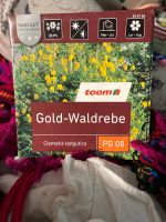 Gold Waldrebe clematis Glocken gelb tangutica Saatgut Samen neu Nordrhein-Westfalen - Mönchengladbach Vorschau