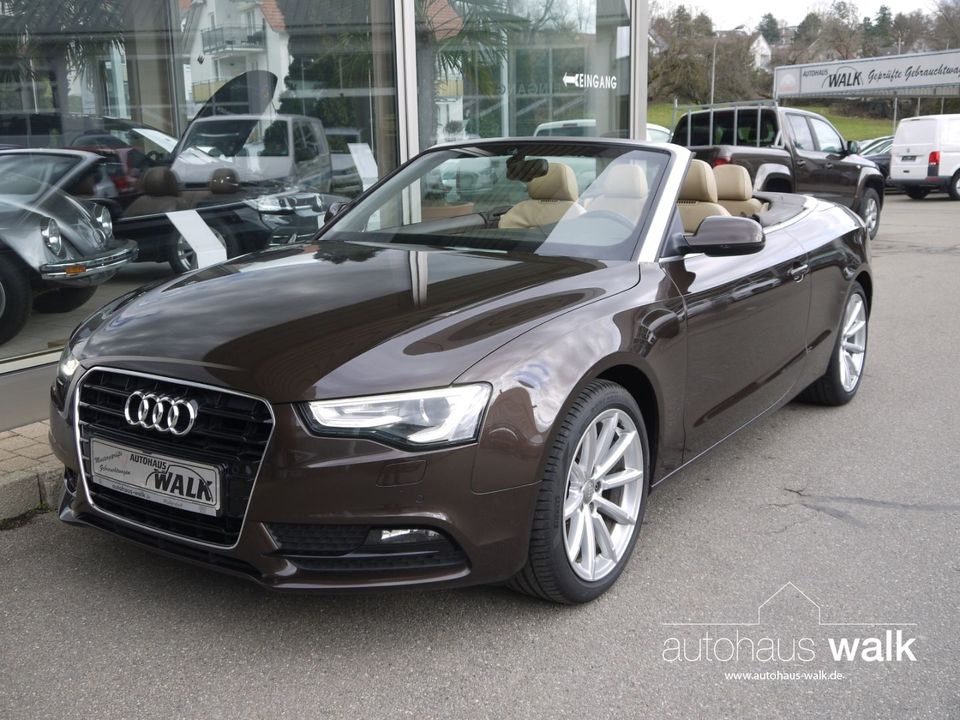 Audi A5 Cabriolet 1,8 TFSI Navi B+O Memory ACC in Pfullendorf