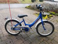 Puky Kinderfahrrad Baden-Württemberg - Dietingen Vorschau