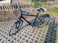 Herrenfahrrad der Marke Diamant 28 Zoll Rahmenhöhe 55cm Thüringen - Drei Gleichen Vorschau