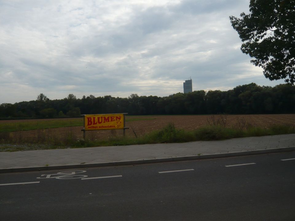 "WOHNEN  AM  MAINBOGEN", sofort bebaubares Gründstück mit Baugenehmigung, Frankfurt - Fechenheim in Frankfurt am Main
