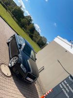 Audi A5 3.0 TDI Quattro 3x S line Tüv Neu Niedersachsen - Bad Sachsa Vorschau