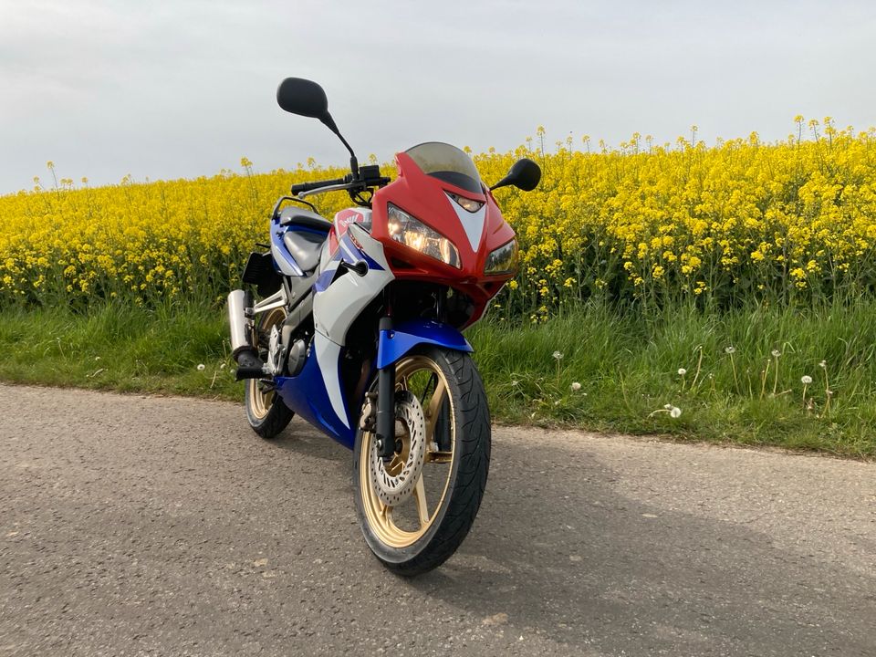 ❗️❗️❗️Honda cbr 125 neuer TÜV und neue Reifen❗️❗️❗️ in Blankenheim