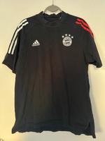 FC Bayern Shirt Teamline Gr. L Bayern - Hirschaid Vorschau